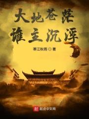 苍茫大地谁主沉浮表达了什么感情