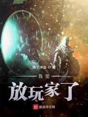 我要放我家的视频教程