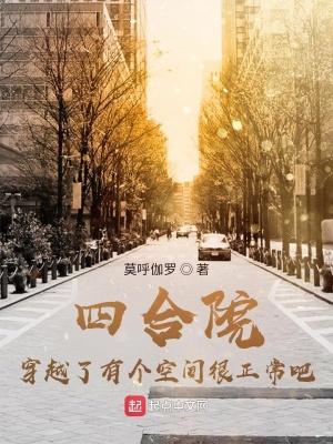 穿越四合院路人的