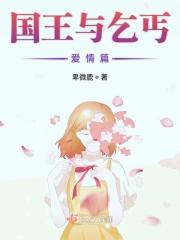 国王与乞丐电视剧叫什么