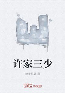 许家三公子