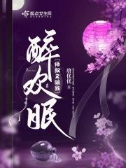 醉欢眠章节