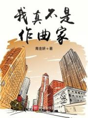 我真不是歌星