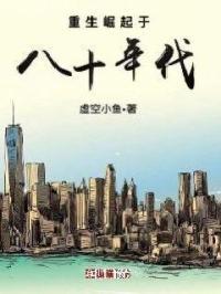 重生崛起80年代