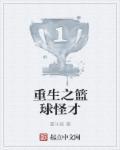重生之篮球火