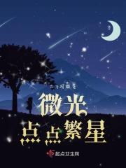 微光陆繁星