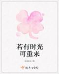 若有时光可重来歌曲