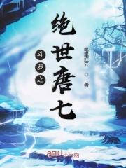斗罗大陆之绝世唐门顶点免费阅读