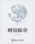 财富的掠夺