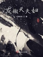 龙傲天是谁
