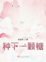 种下一颗种子作文800字作文