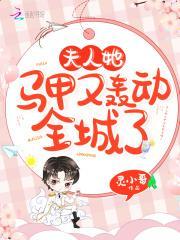 乔念叶妄川最新章节正版阅读