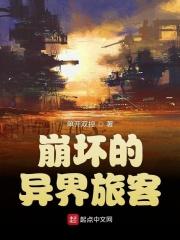 崩坏三异世旅人