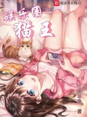 娱乐圈猫系指什么