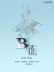 板面