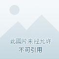 重生90年代好赚钱