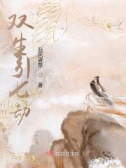 双生器魂