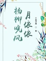 杨柳岸晓风残月上一句