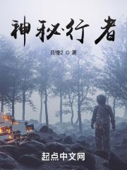 神秘的旅行者