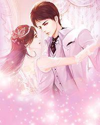 绿茶小夫郎女尊