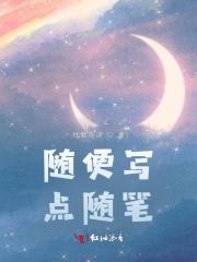 随笔是随便写吗?