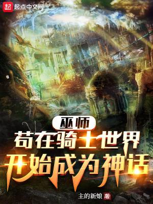 骑士世界的巫师之旅