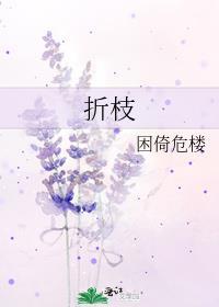 枝折花落