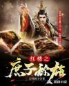 红楼之庶子攻略