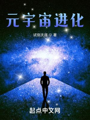 元宇宙进化TXT全集免费