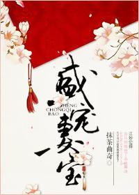 盛宠妻宝无防盗