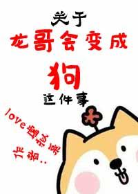 一个主人公是龙哥的