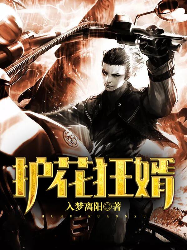 豪门赘婿在线阅读