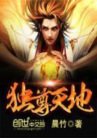 独尊九天.a