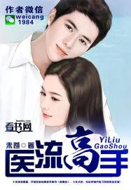 医流高手有声