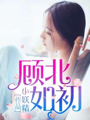 顾初如北电视剧