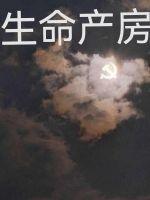 生命- life