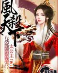 风杀天下全集完整版