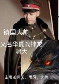 镇国大帅叶天策61-