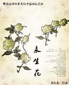 永生花科普