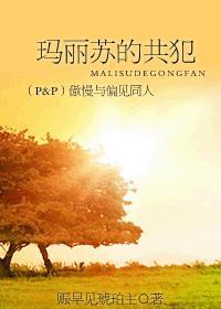 玛丽亚的傲慢与偏见txt