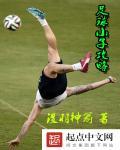 足球小将最佳阵容
