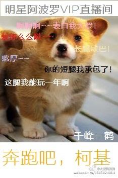 奔跑吧小狗
