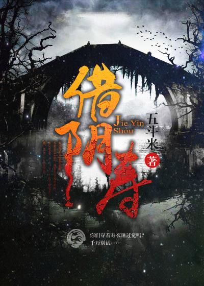 借阴寿最后大结局是什么