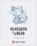 哈利波特梅林勋章获得者