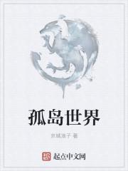 孤岛地图