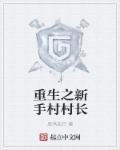 新手村村长结局