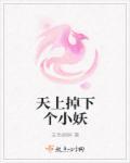 天上掉下个小妖孽