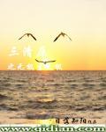 三才生四象