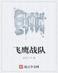 飞鹰队的含义