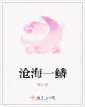三位数
